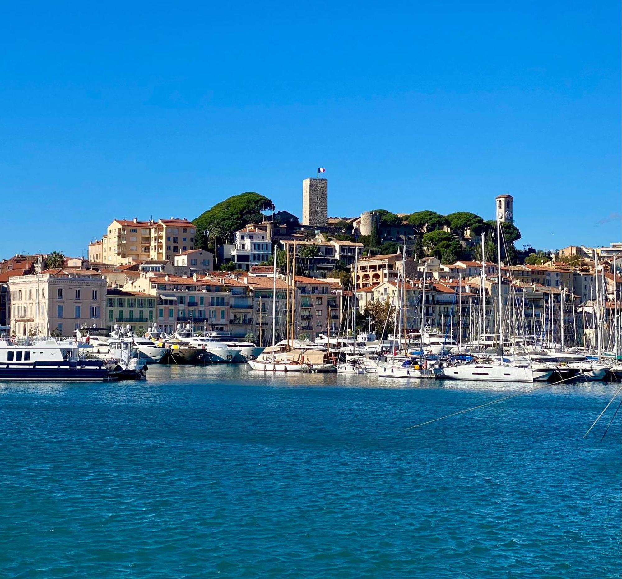 Elegant Studio Proche Palais Des Festivals 戛纳 外观 照片